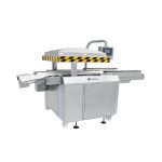 BT-1100 BELT Type Vacuum Packaging Machine