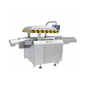 BT-1100 BELT Type Vacuum Packaging Machine